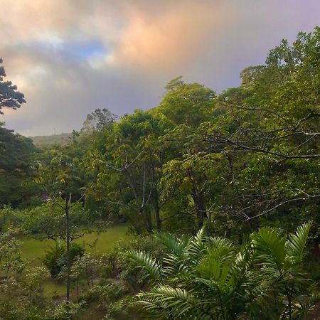 Yerbabuena Lodge Monteverde 외부 사진